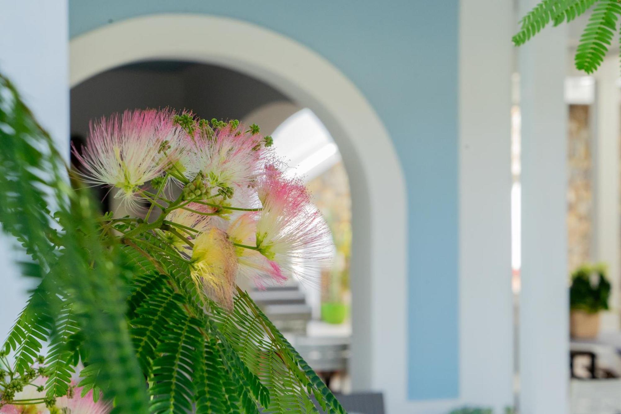 Villa Acacia Понца Екстер'єр фото